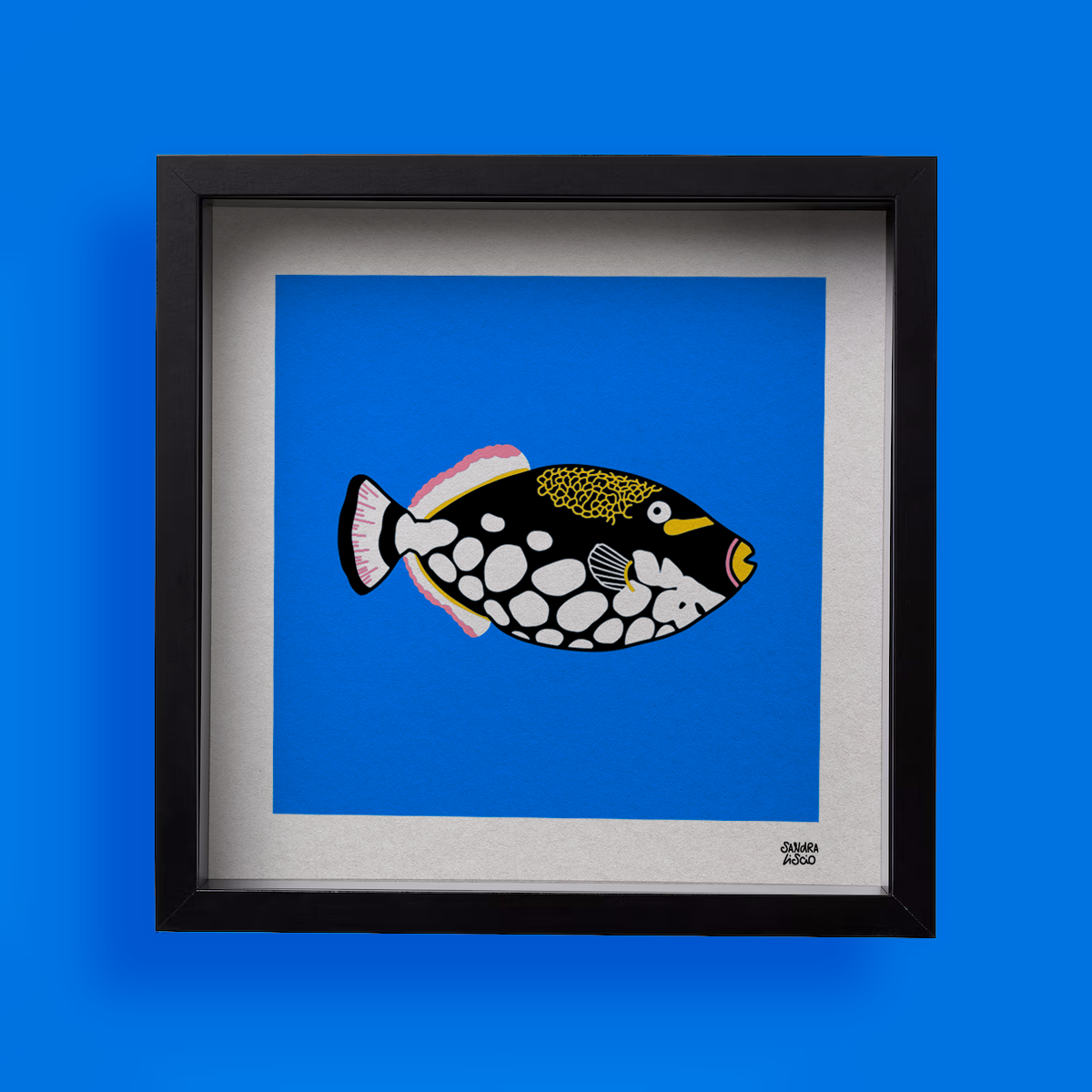 Trigger Fish - Print