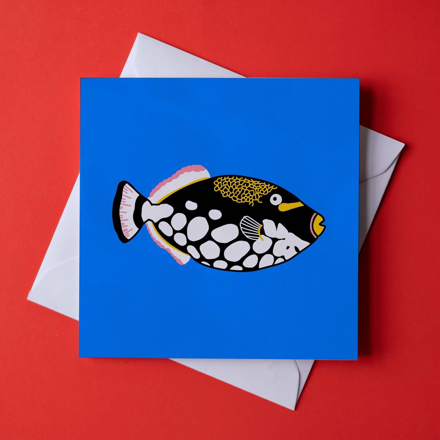 Trigger Fish - Card