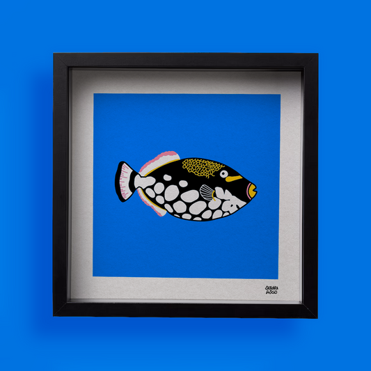 Trigger Fish - Print